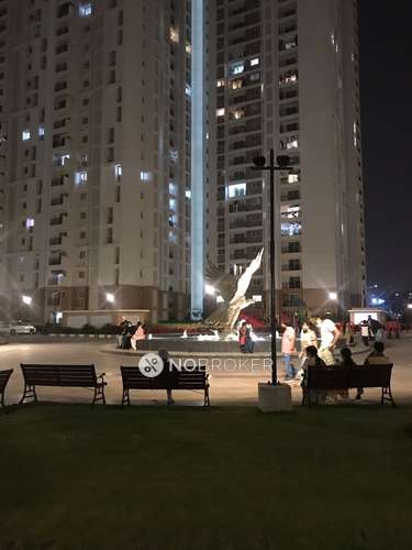 3 BHK Flat In Prestige Falcon City for Rent  In Konanakunte