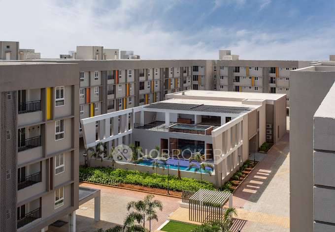 1 BHK Flat In Tulive Dakshin, Iyyappanthangal for Rent  In Iyyappanthangal