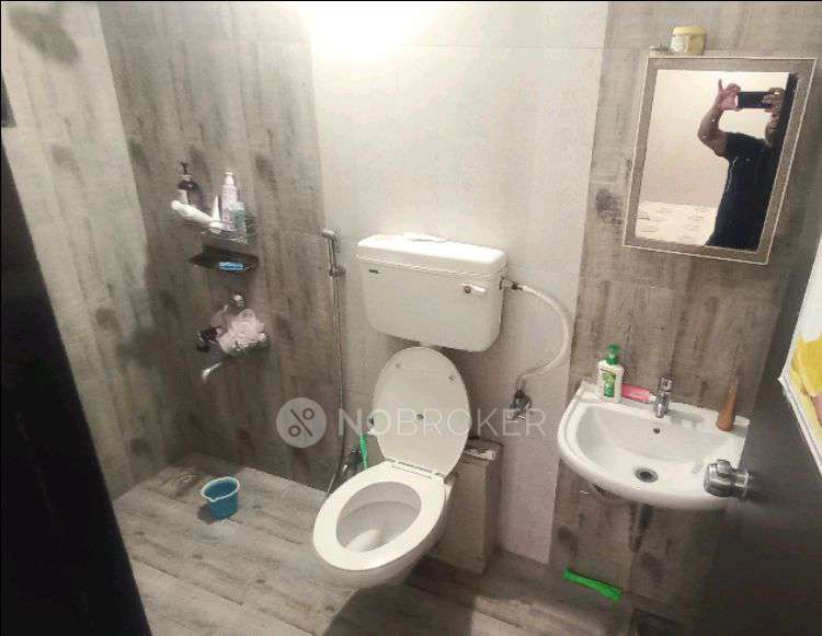 2 BHK Flat In Krisala Adora Phase 2 for Rent  In Ravet