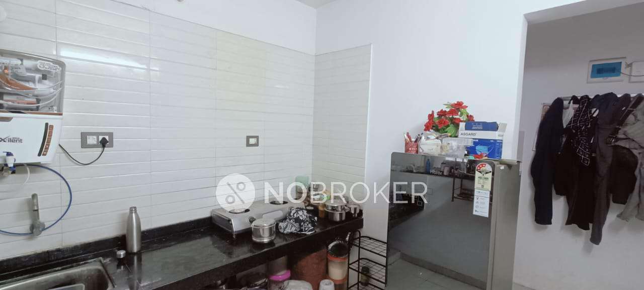 1 BHK Flat In River Edge Selenia For Sale  In Moshi