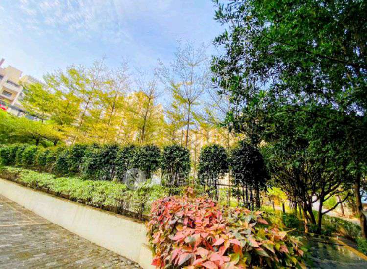 2 BHK Flat In Palladium Grand  for Rent  In Dhanori