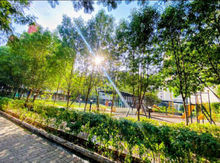 2 BHK Flat In Palladium Grand  for Rent  In Dhanori