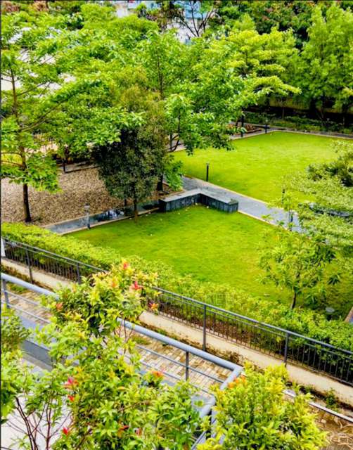 2 BHK Flat In Palladium Grand  for Rent  In Dhanori