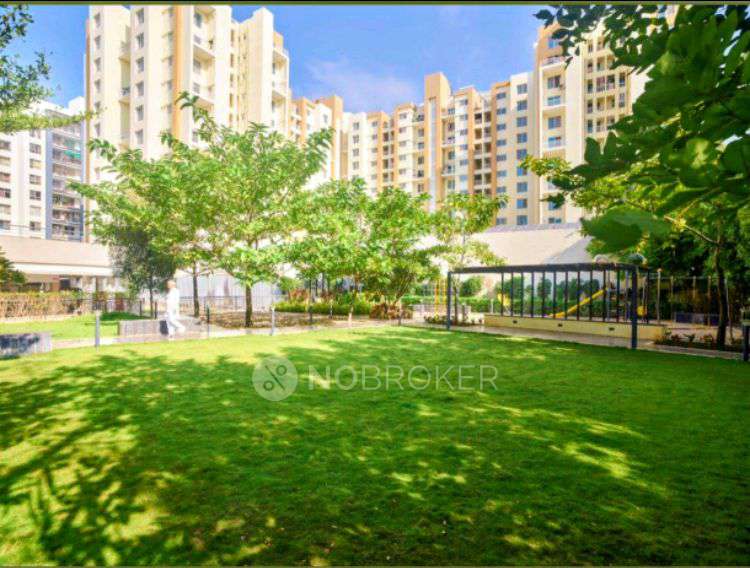 2 BHK Flat In Palladium Grand  for Rent  In Dhanori