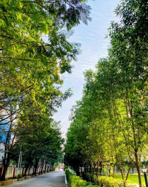 2 BHK Flat In Palladium Grand  for Rent  In Dhanori