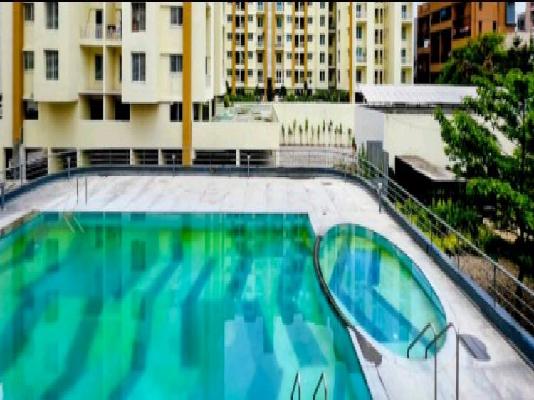 2 BHK Flat In Palladium Grand  for Rent  In Dhanori