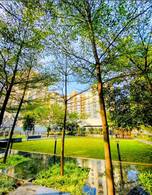 2 BHK Flat In Palladium Grand  for Rent  In Dhanori