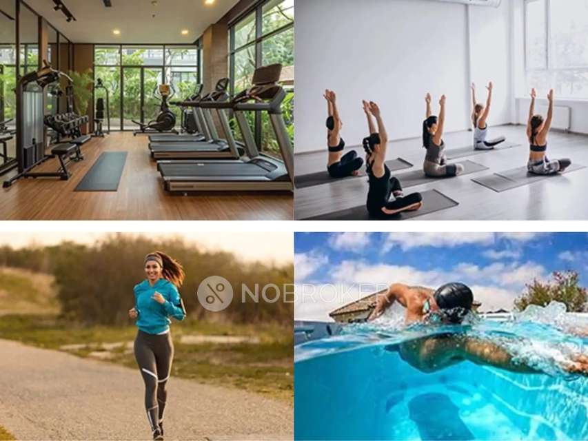 3 BHK Flat In Godrej Majesty For Sale  In Sector 12