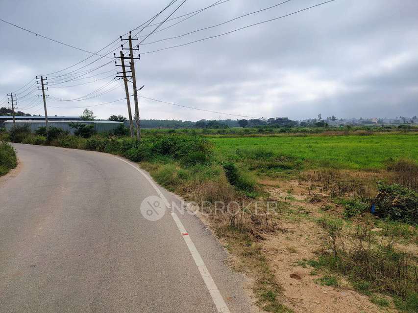 Industrial Shed in Mayasandra, Bangalore for Rent 