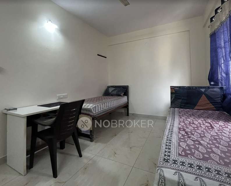 PG for Anyone in Doddanekkundi