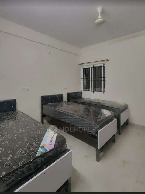 PG for Anyone in Doddanekkundi