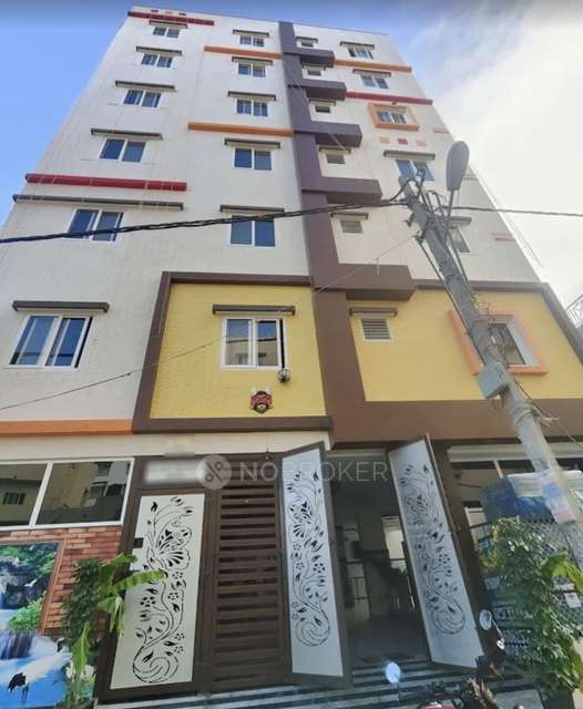 PG for Anyone in Doddanekkundi