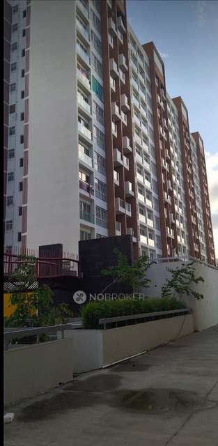 2 BHK Flat In Kohinoor Tinsel County for Rent  In Hinjawadi Maan Phase 3