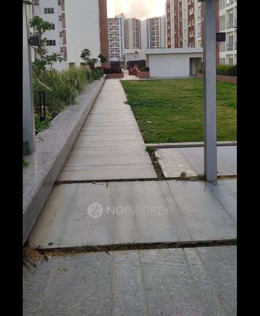 2 BHK Flat In Kohinoor Tinsel County for Rent  In Hinjawadi Maan Phase 3