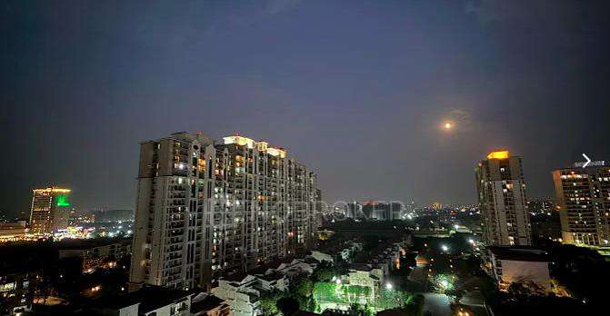 2 BHK Flat In Pyramid Elite For Sale  In Sector 86