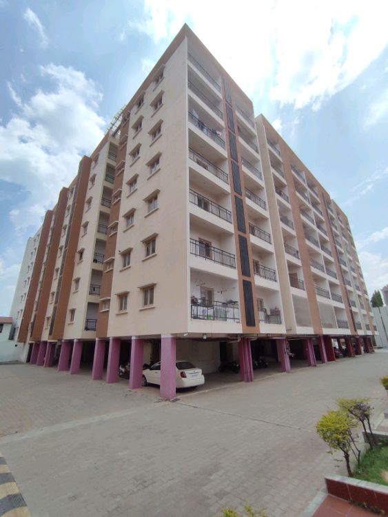 Shanders Dwellington