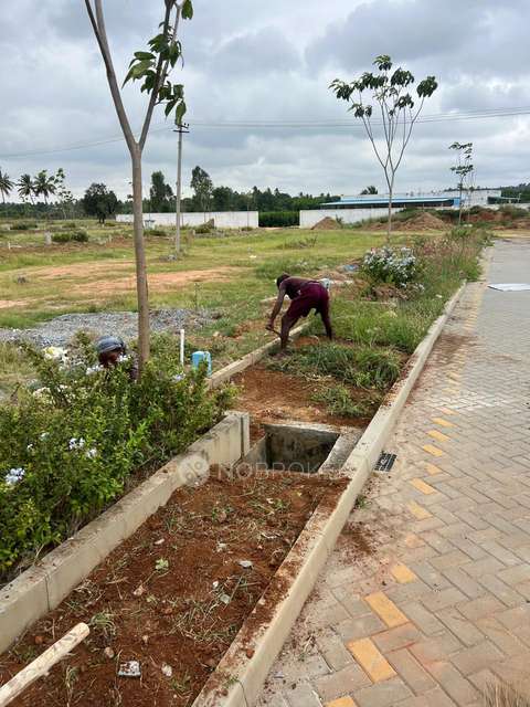 Plot For Sale  In Global White Pearl In Anekal Taluk