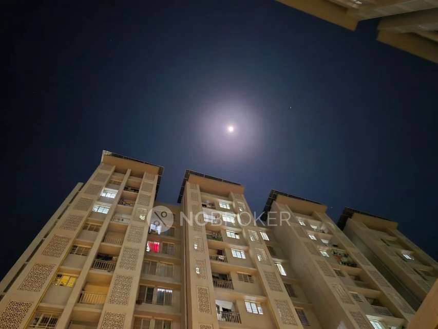 1 BHK Flat In Panama Park Co-operative Housing Society Ltd For Sale  In Lohegaon