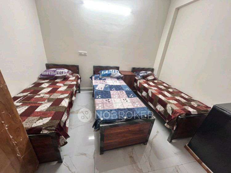 PG for Anyone in Hsr Layout