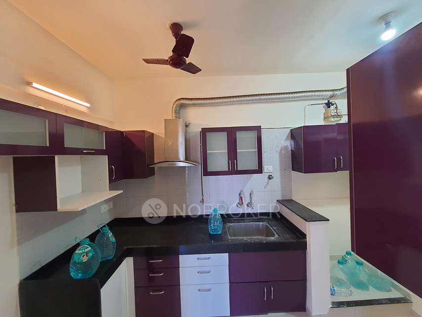 2 BHK Flat In Nyati Elan West  For Sale  In Wagholi