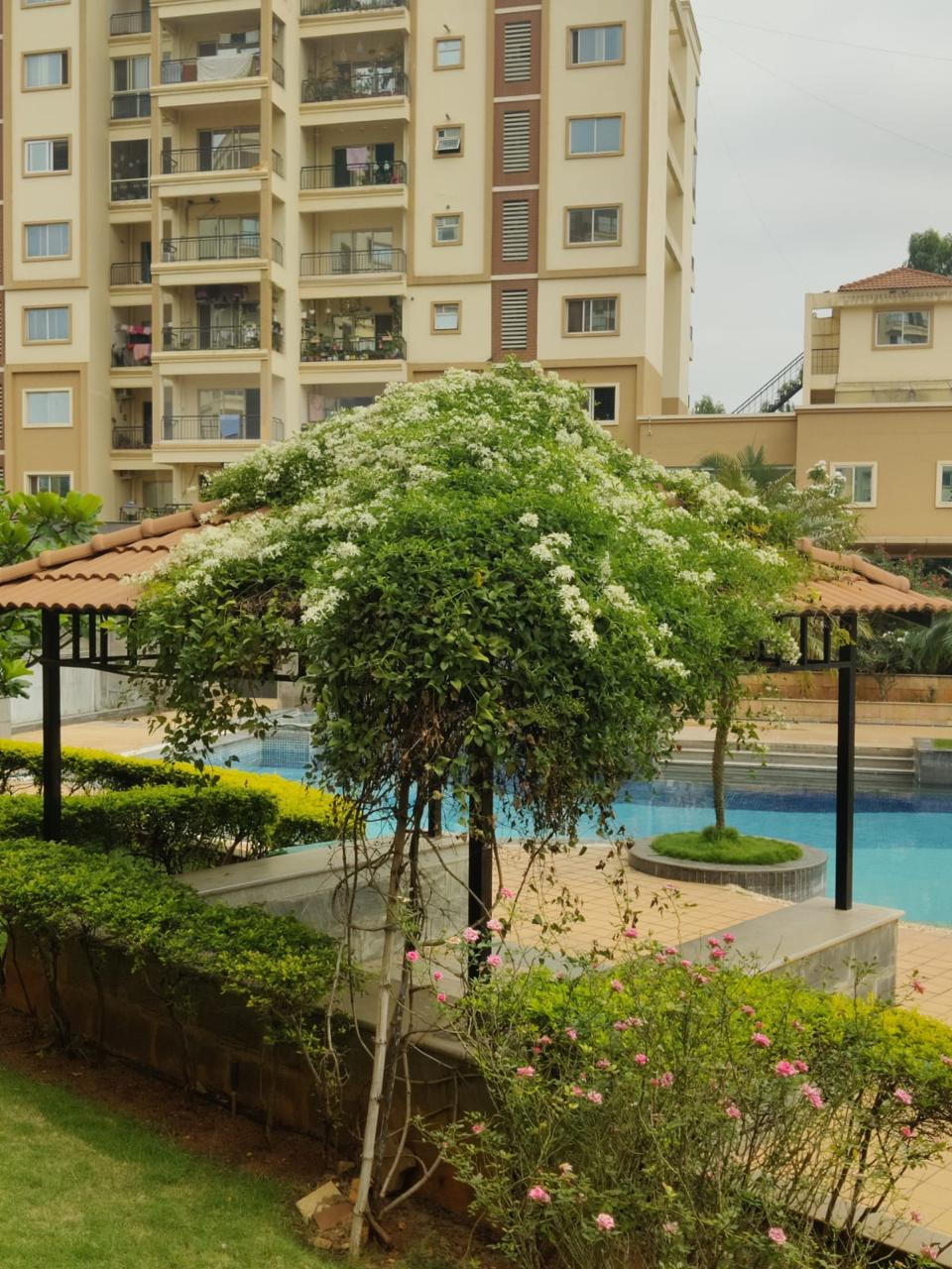 Concorde Midway City