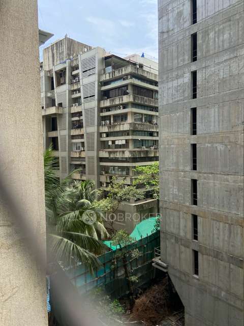 PG for Girls in Dn Nagar