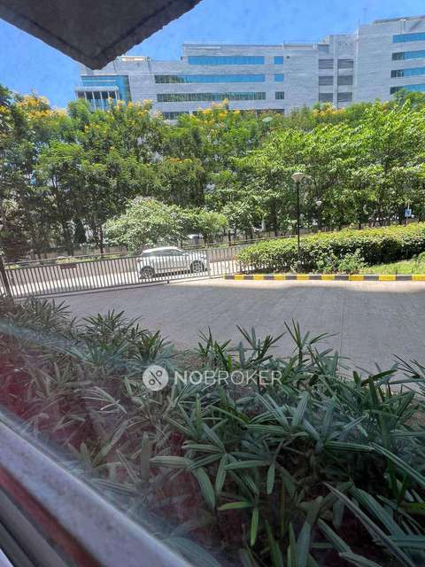 3 BHK Flat In Paranjape Blue Ridge For Sale  In Hinjewadi