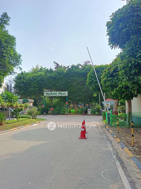 3 BHK Villa In Dlf Exclusive Floors For Sale  In Sector 53