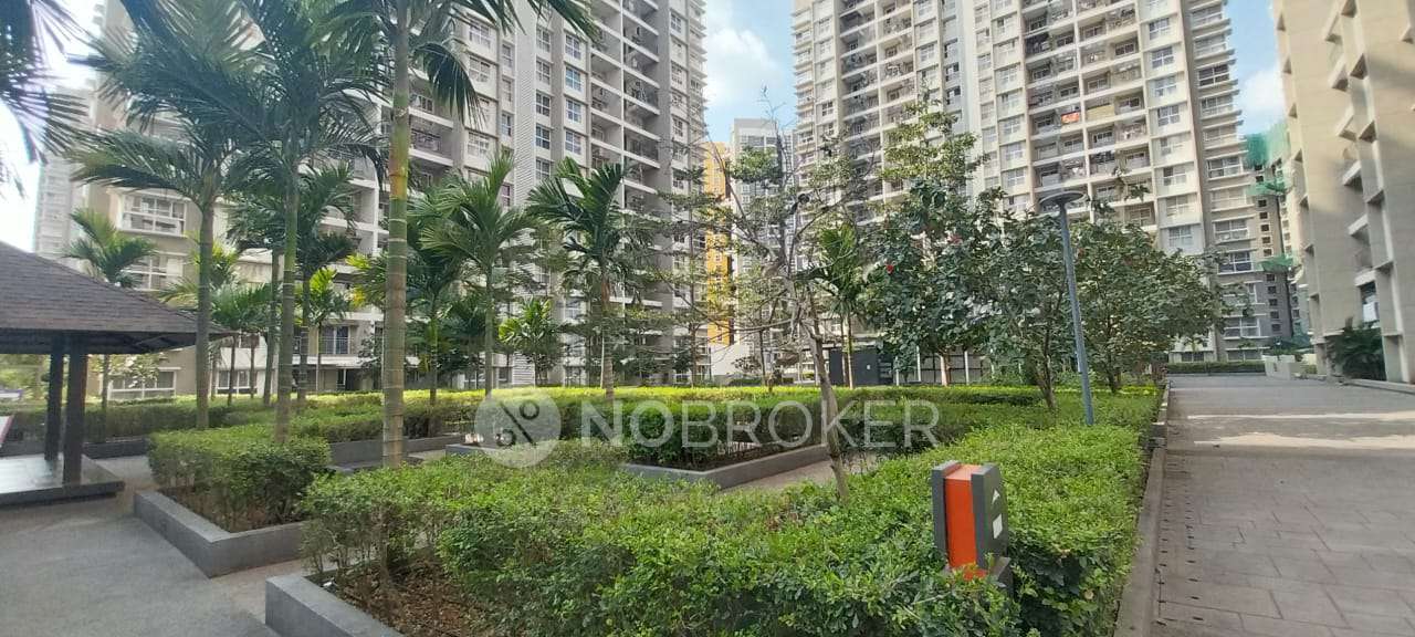 2 BHK Flat In Pride Purple Park Connect for Rent  In Hinjewadi