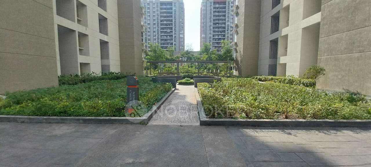 2 BHK Flat In Pride Purple Park Connect for Rent  In Hinjewadi