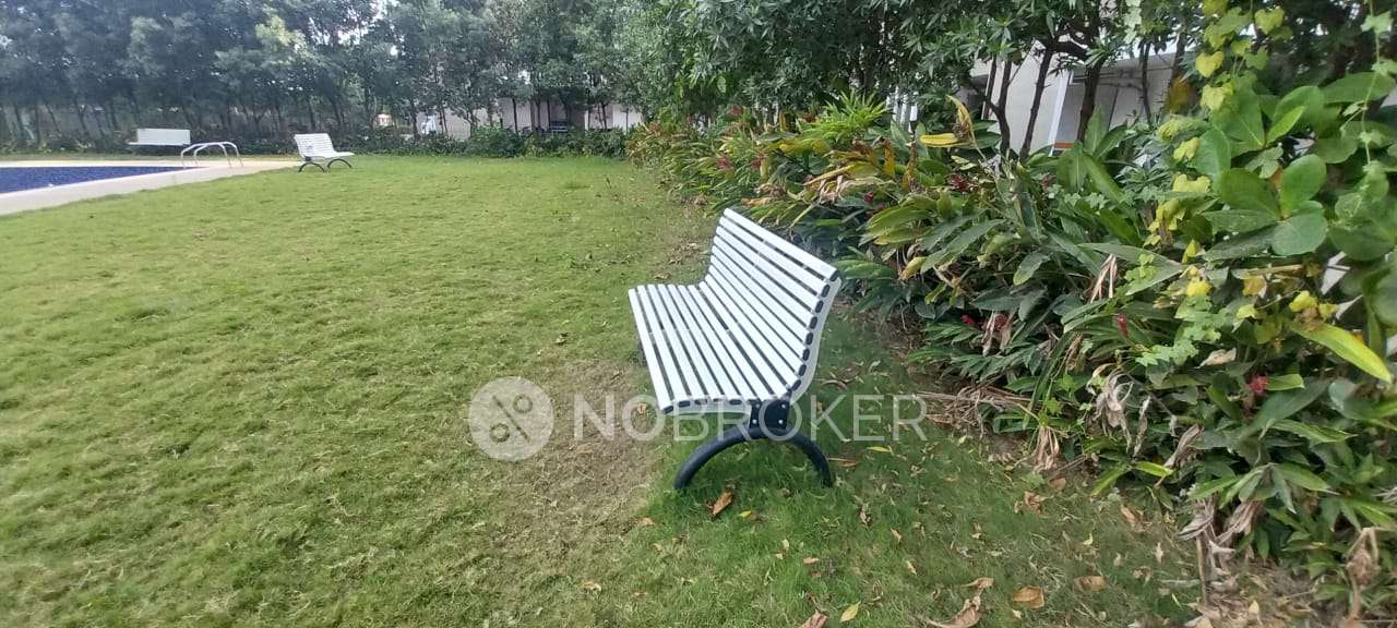 2 BHK Flat In Pride Purple Park Connect for Rent  In Hinjewadi