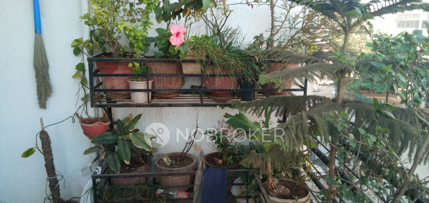 2 BHK Flat In Shiv Ganesh Residency for Rent  In Pimpri Chinchwad