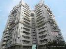 3 BHK Flat For Sale In Gulshan Botnia In Sector 144