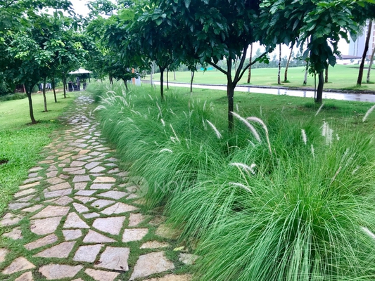 3 BHK Flat In Lodha Belmondo for Rent  In Pune