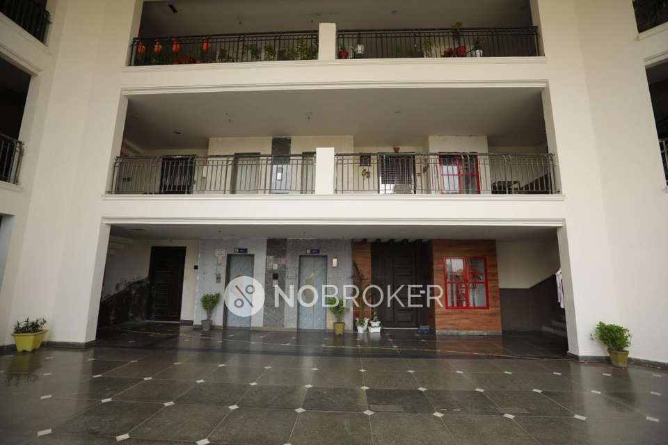 3 BHK Flat In Apex Athena For Sale  In Sector 75