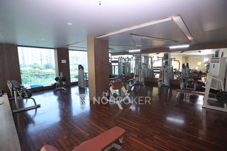 3 BHK Flat In Apex Athena For Sale  In Sector 75