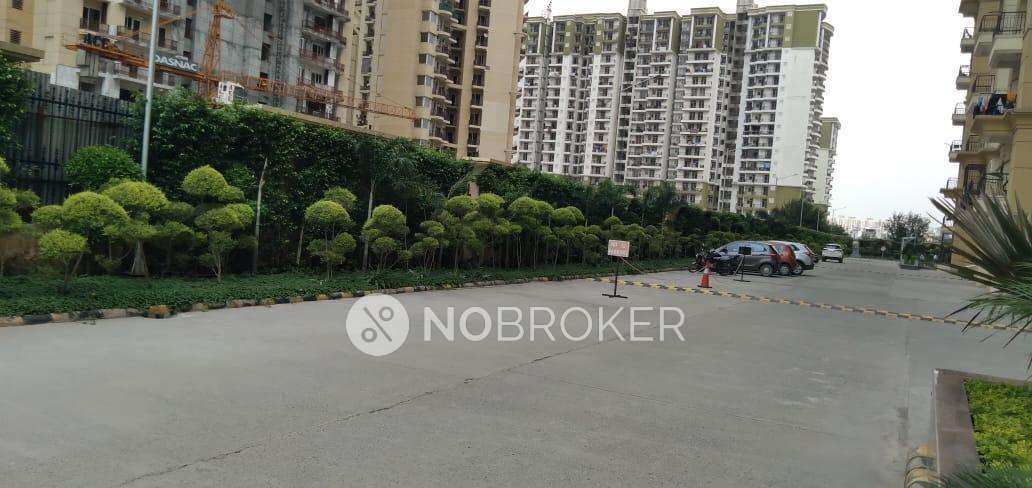 3 BHK Flat In Apex Athena For Sale  In Sector 75
