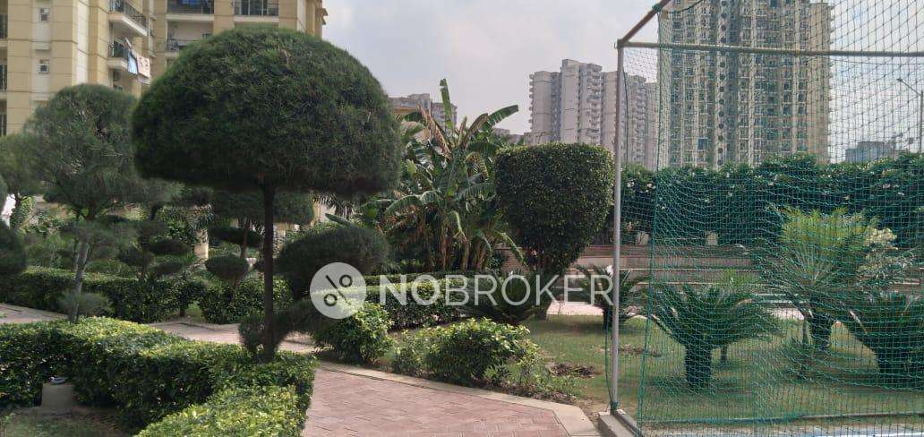 3 BHK Flat In Apex Athena For Sale  In Sector 75
