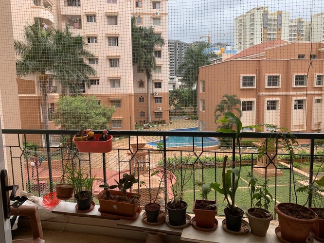 Prestige Monte Carlo St, Yelahanka Yelahanka Rent WITHOUT BROKERAGE