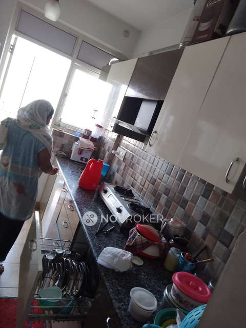 3 BHK Flat In Stellar One For Sale  In Stellar One