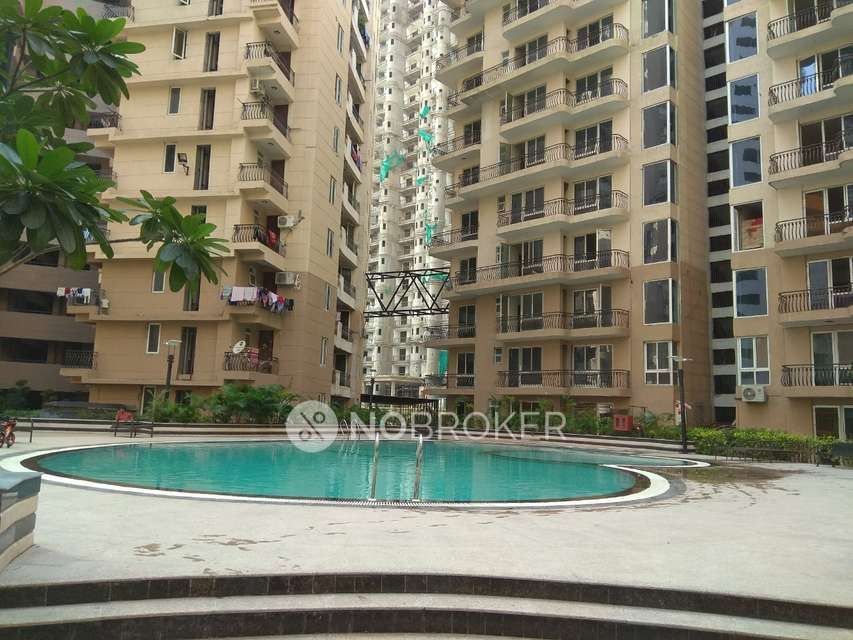 3 BHK Flat In Sikka Karmic Greens For Sale  In Sector-78