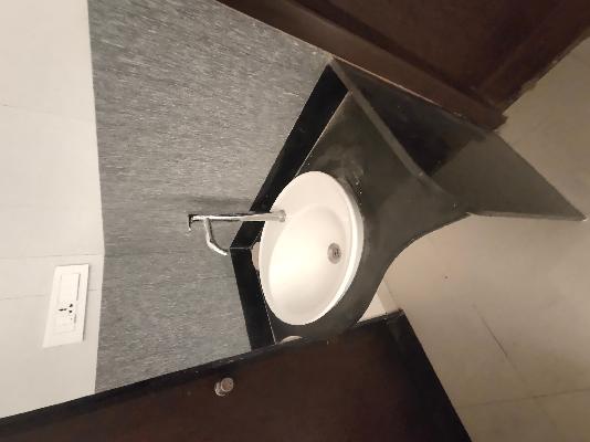 3 BHK Flat In Bhujbal Brothers Vatika Homes for Rent  In Balewadi