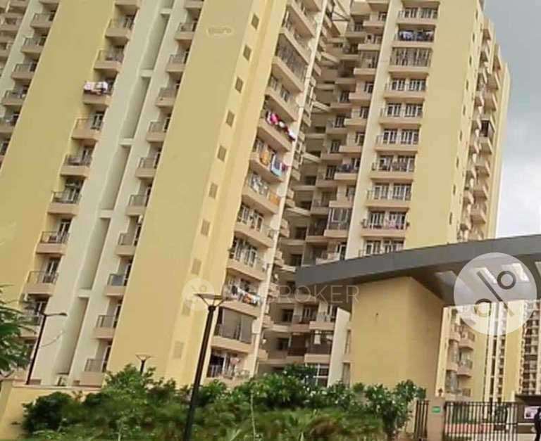 3 BHK Flat In Prateek Laurel, Sector-120 For Sale  In Sector-120