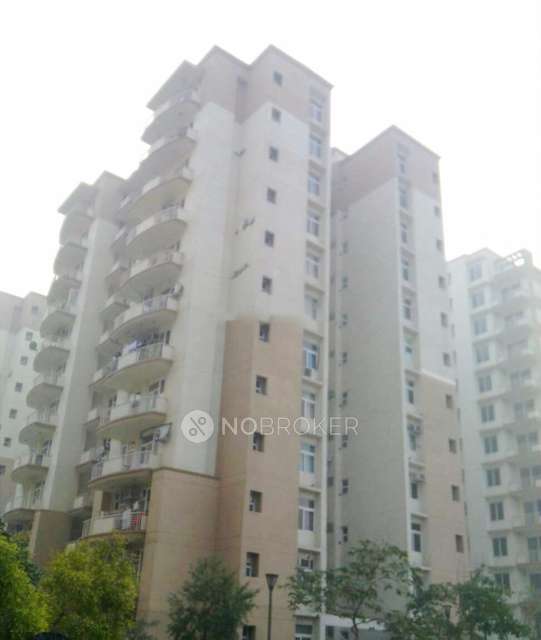 3 BHK Flat In Tulip Petals For Sale  In Sector-89