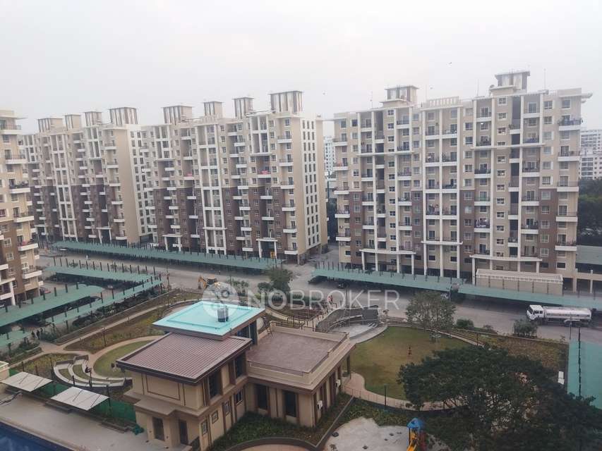 2 BHK Flat In Nyati Elan Wagholi for Rent  In Wagholi