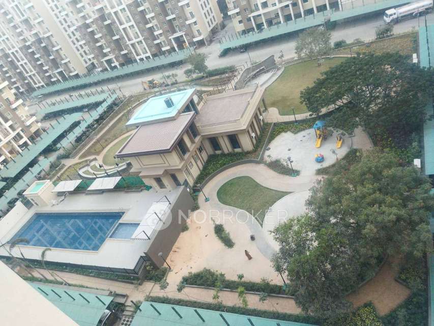 2 BHK Flat In Nyati Elan Wagholi for Rent  In Wagholi