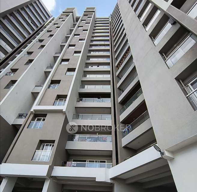 3 BHK Flat In Krishna Amarillo for Rent  In Hinjewadi