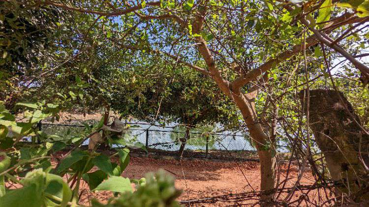 Plot For Sale  In Empty Plot In Buffer Zone In India Oil Petrol Bunk, Post, Near Udupi Hotel, Doddabommasandra, Vidyaranyapura, Bengaluru, Karnataka 560097, India