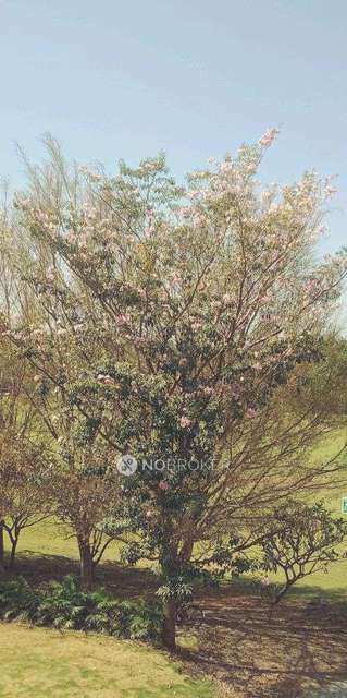 2 BHK Flat In Lunkad Greenland 2 For Sale  In  Viman Nagar