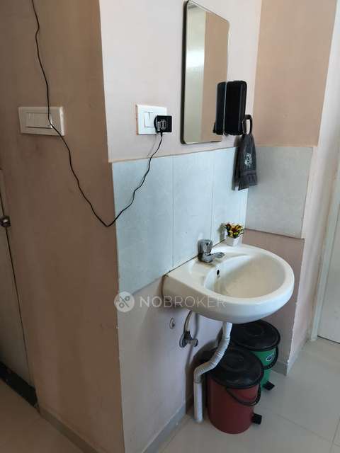 1 BHK Flat In S.s Platinum Park For Sale  In Undri